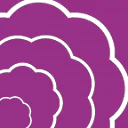 Blooms By Heinau Coupon Codes